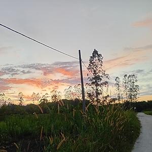 51+