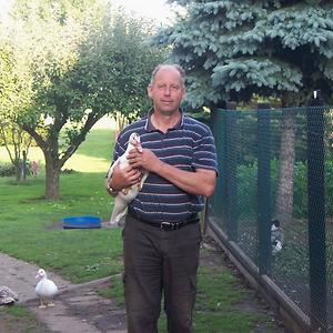 51+