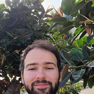 26-35