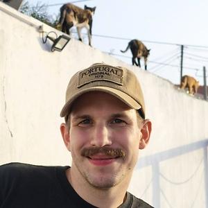 26-35
