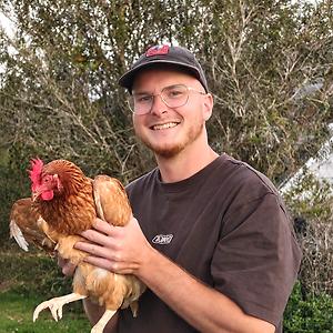 26-35