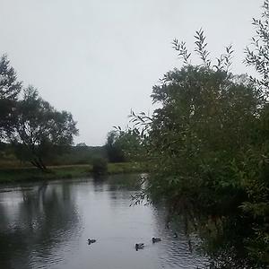 36-50