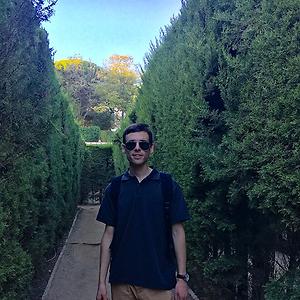 26-35