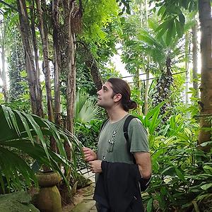 26-35