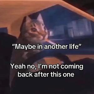 36-50
