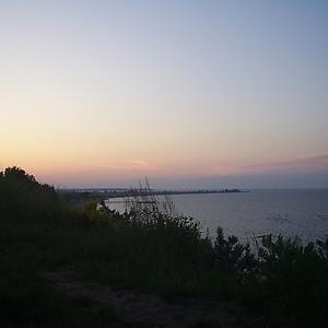 36-50