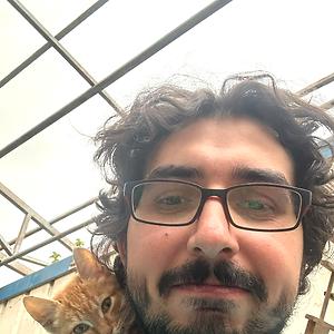 26-35