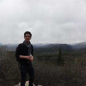 26-35