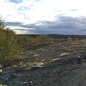 51+