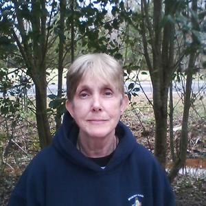 51+