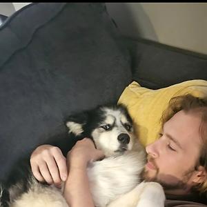 26-35
