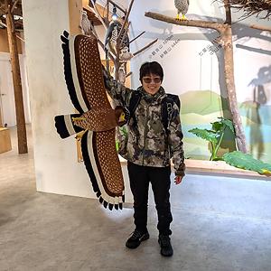 26-35