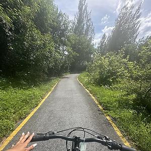 36-50