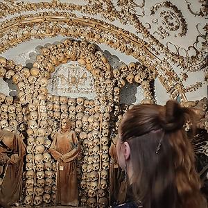 26-35