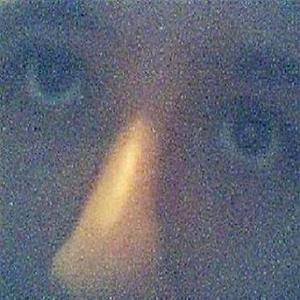 36-50