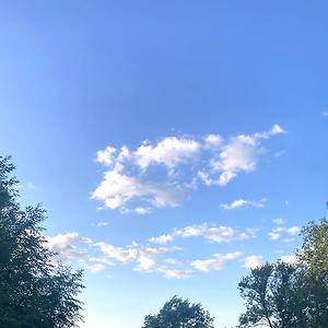 36-50