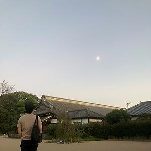 36-50