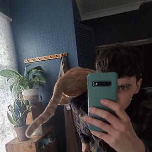 26-35