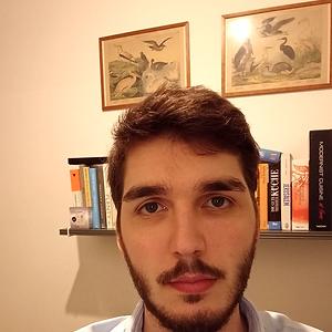 26-35