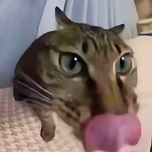 51+