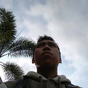 26-35