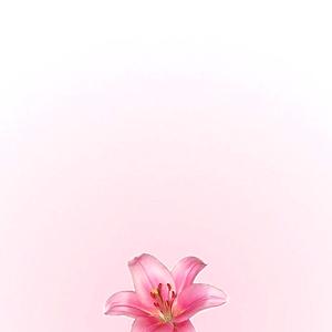 36-50
